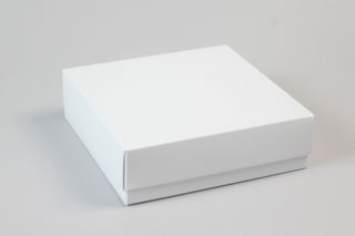 Shallow small Square - White