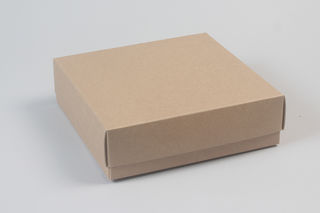 Shallow small square Eco-box
