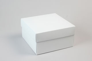 Small Square - White