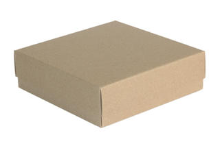 Shallow small square Eco-box
